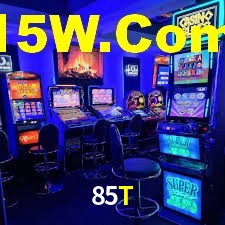 85t.com