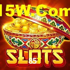 85t.com