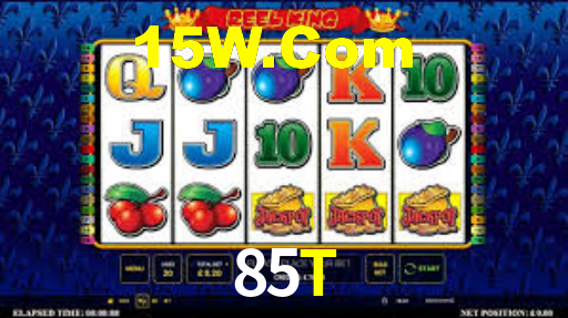 85T,85t.com